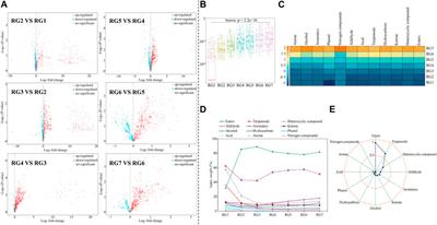 Contribution of traditional deep fermentation to volatile metabolites and odor characteristics of Wuyi rock tea